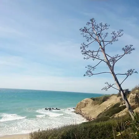 アパート Centro Y Playa 